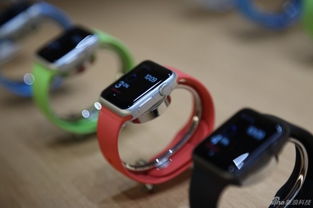 Apple Watch智能手表現(xiàn)場實(shí)拍 三大版本魅力實(shí)窺